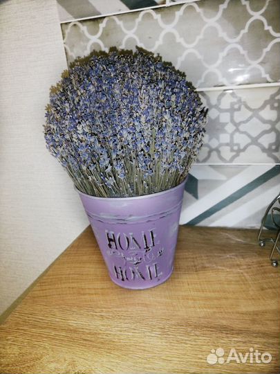 Продам Лаванду