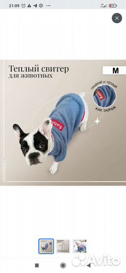 Комбинезон и свитер для собак