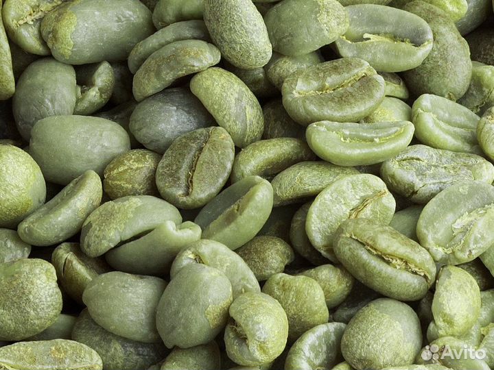 Зеленый кофе опт