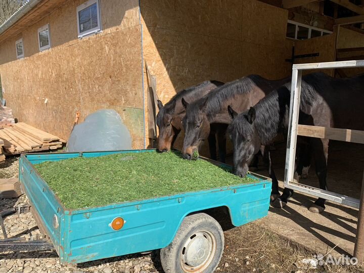 Постой для лошадей