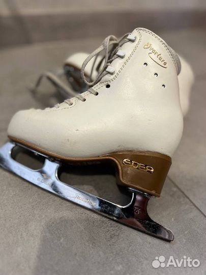 Фигурные коньки edea overture