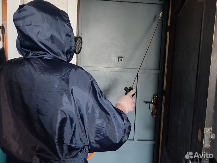 Уничтожение клопов тараканов клещей Дезинфекция