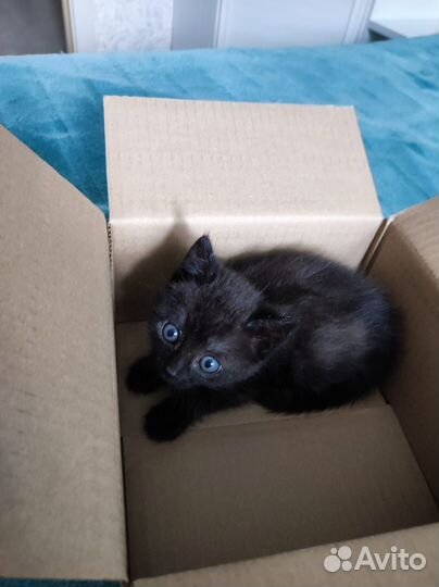 Мальчик ищет дом