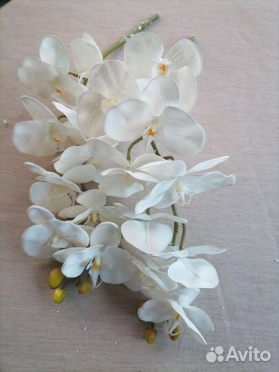 Растения, декор, цветы искусственные