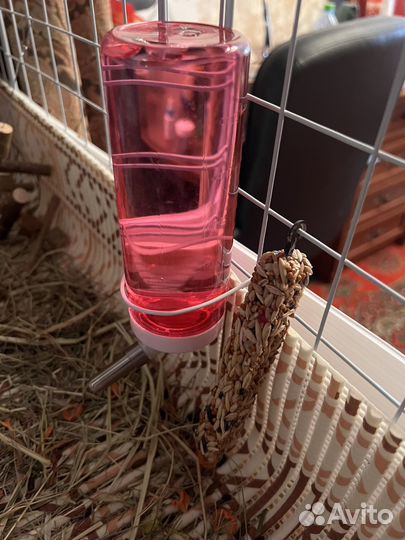 Клетка-вольер для грызуна