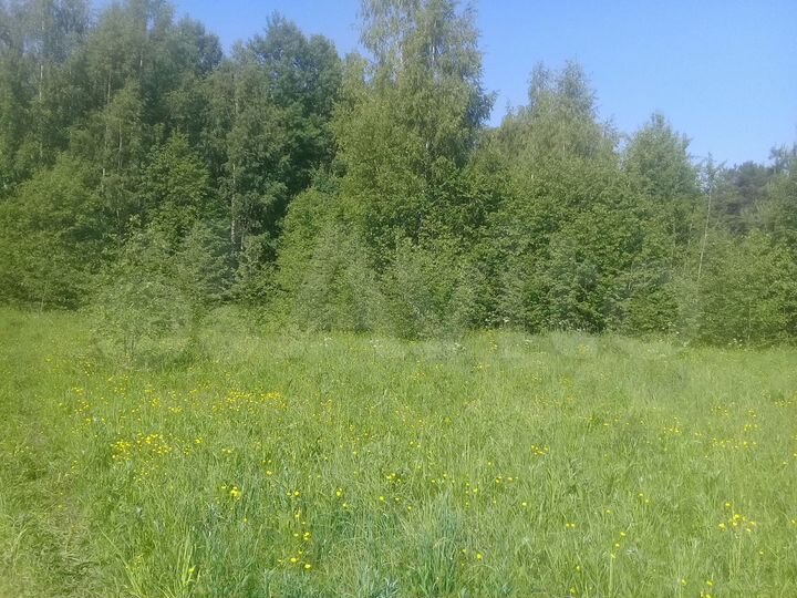 Участок 22 га (СНТ, ДНП)