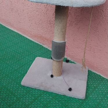 Лоток для кошек большой глубокий