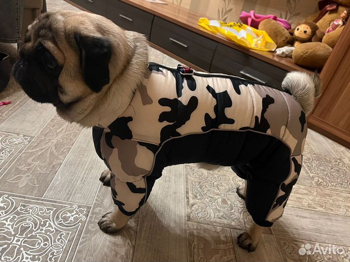 Комбинезон зимний для собак