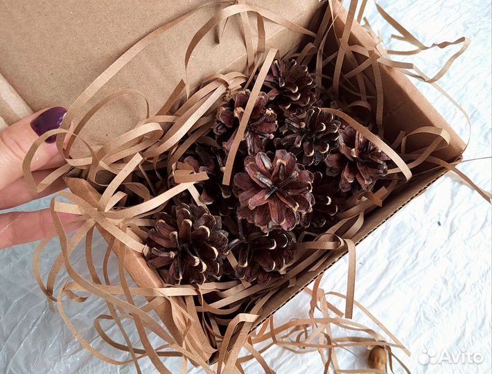 Шишки для декора и поделок