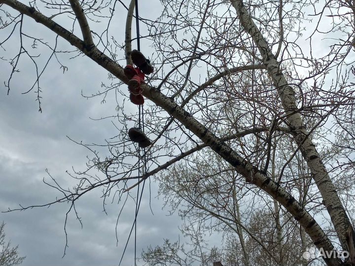 Кросовки понтовые