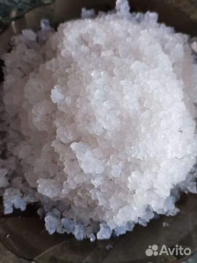 Индийский морской рис, зооглея, рисовый гриб