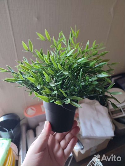 Искусственные цветы IKEA