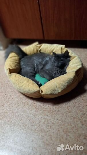 Ремонт одежды на дому