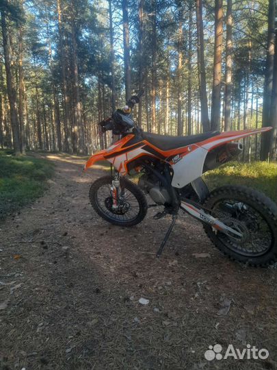 Apollo rxf freeride 150 19/16