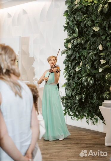 Живая музыка скрипка электроскрипка на мероприятие