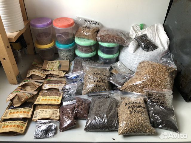 Семена для микрозелени, лотки, продаю все вместе