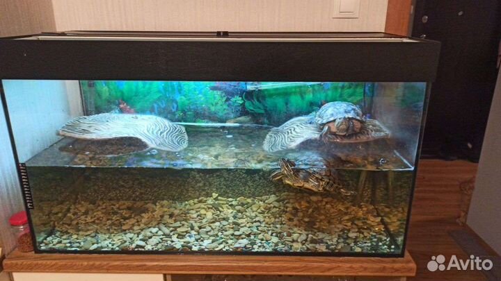 Аквариум на 150 литров