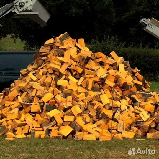 Дрова осина