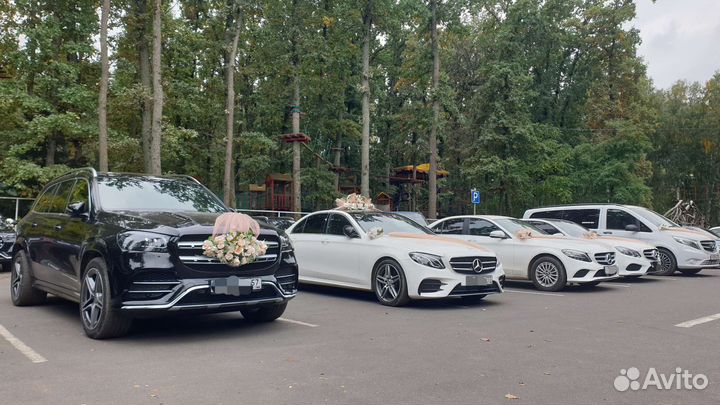Пассажирские перевозки; трансфер; свадебные кортеж