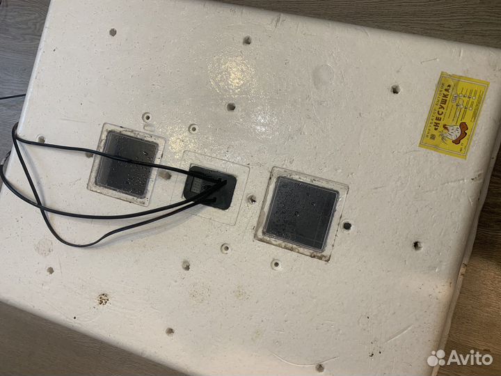 Инкубатор для яиц бу