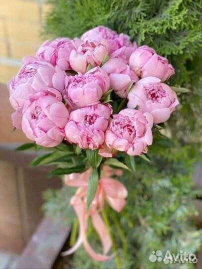 Цветы букеты пионы с доставкой 11, 15, 21, 31, шт