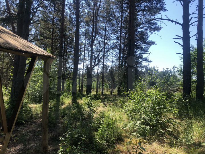 Участок 9 га (СНТ, ДНП)