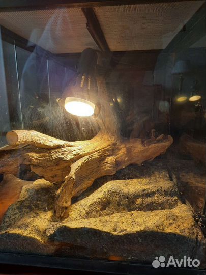 Террариум для рептилий