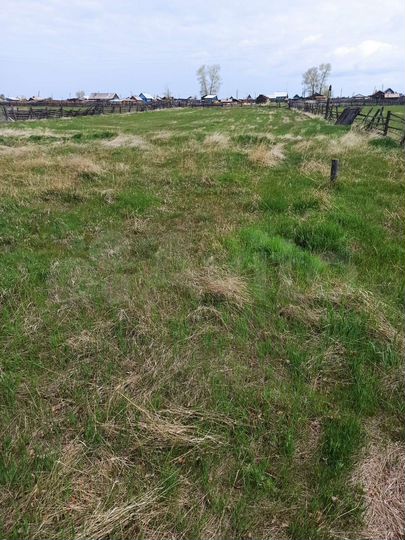 Участок 33 сот. (ИЖС)