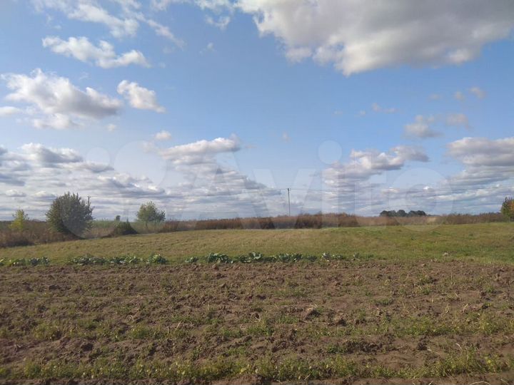Участок 25 сот. (ИЖС)