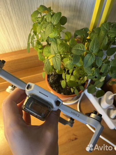 Квадрокоптер dji mini 2