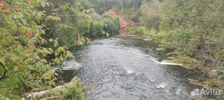 Прогулки на сапбордах