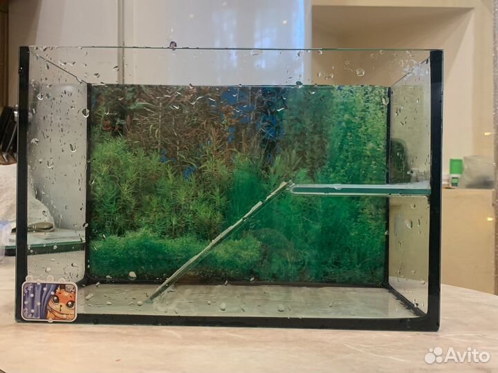 Террариум для черепахи