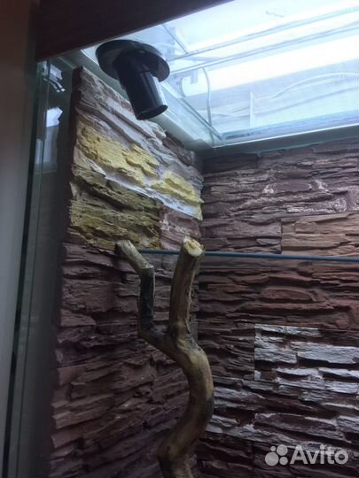 Террариум вертикальный