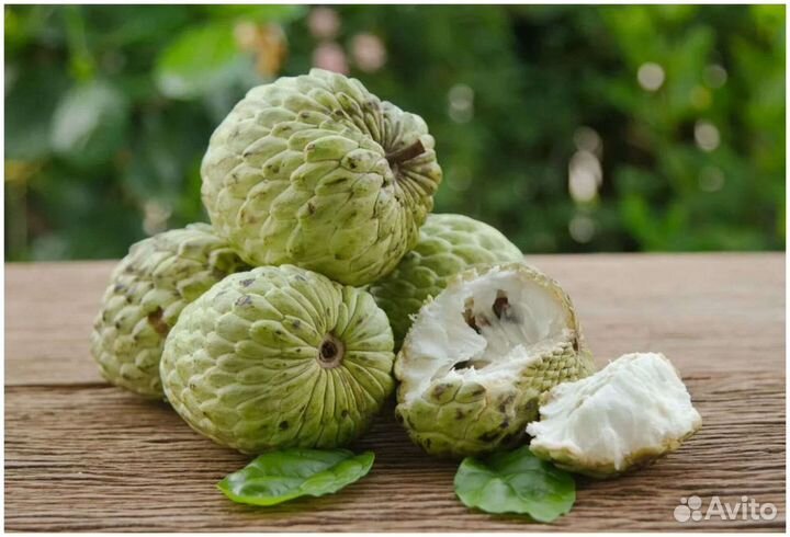 Семена папайи, анноны, маракуйи, питахаи