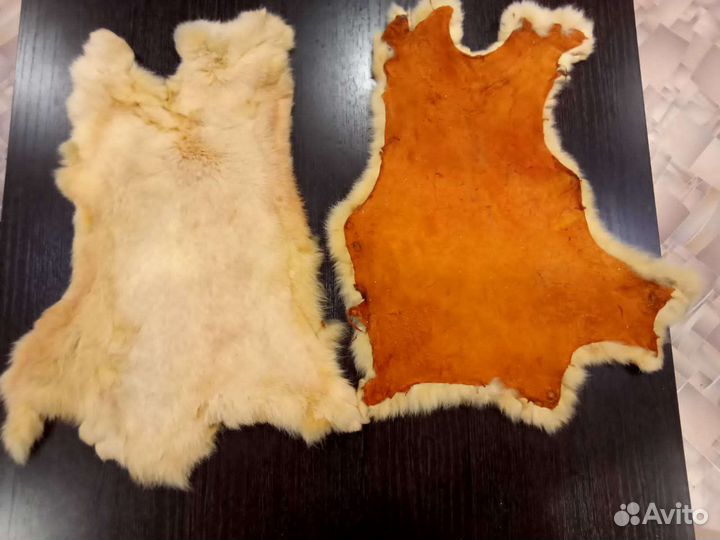 Шкура кролика