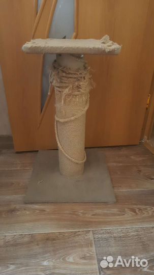 Когтеточка