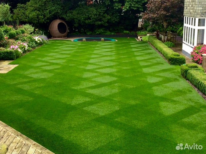 Газон от производителя