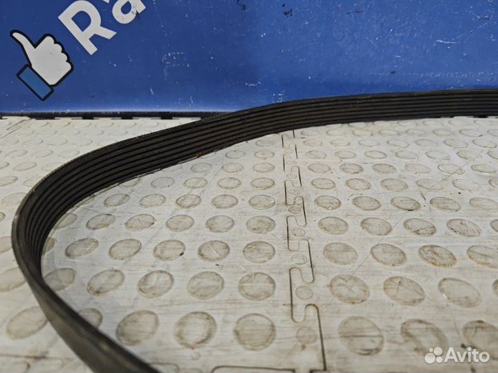 Ремень генератора Nissan Terrano