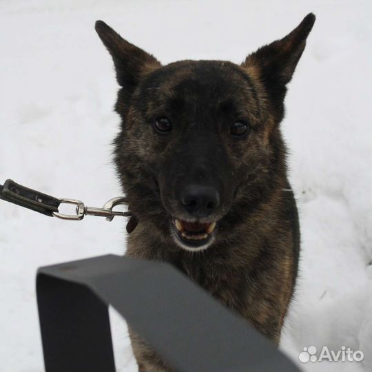 Юная девочка в добрые руки
