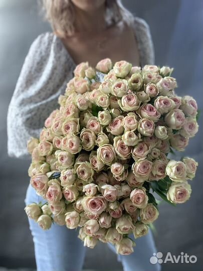 Роза кустовая пионовидная