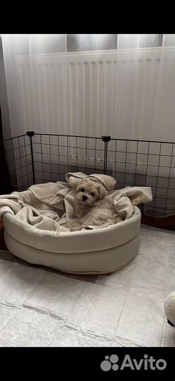 Лежанка для собак и кошек