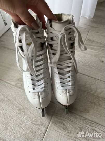 Коньки для фиг катания Jackson Artiste (3) Mark IV