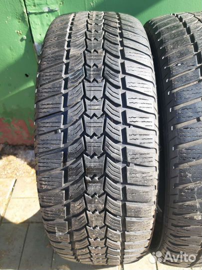 Sava Eskimo HP2 205/55 R16
