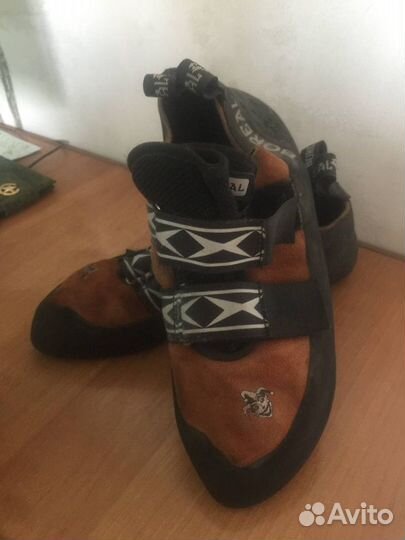 Скальные туфли