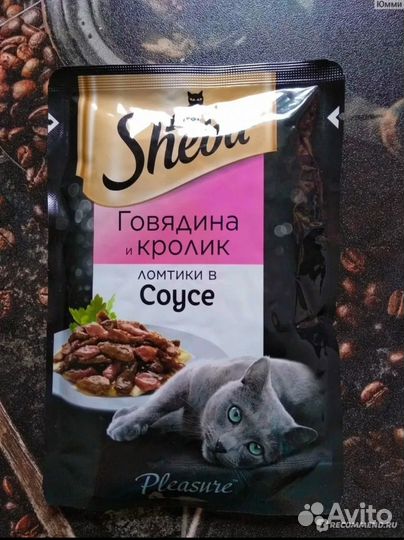 Кошачий корм