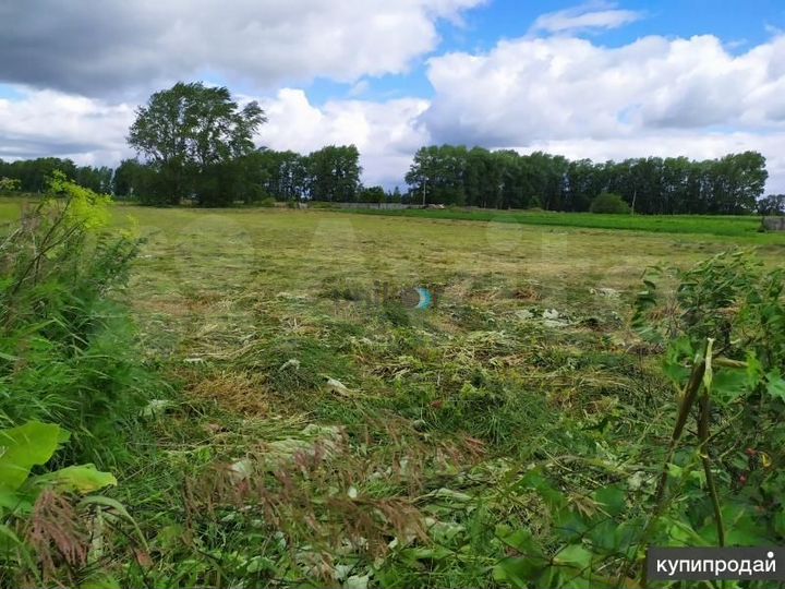 Участок 12 сот. (СНТ, ДНП)