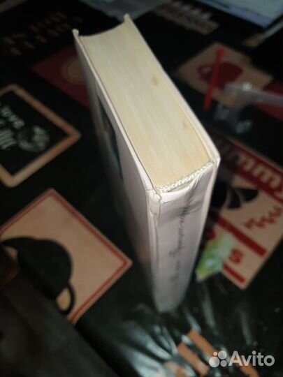 На краю Принцесс-парка книга