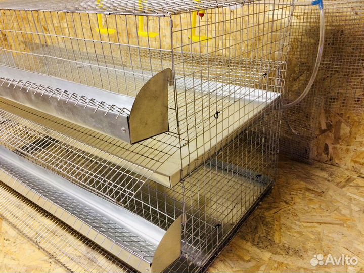 Клетка для перепелов на 70-80 шт