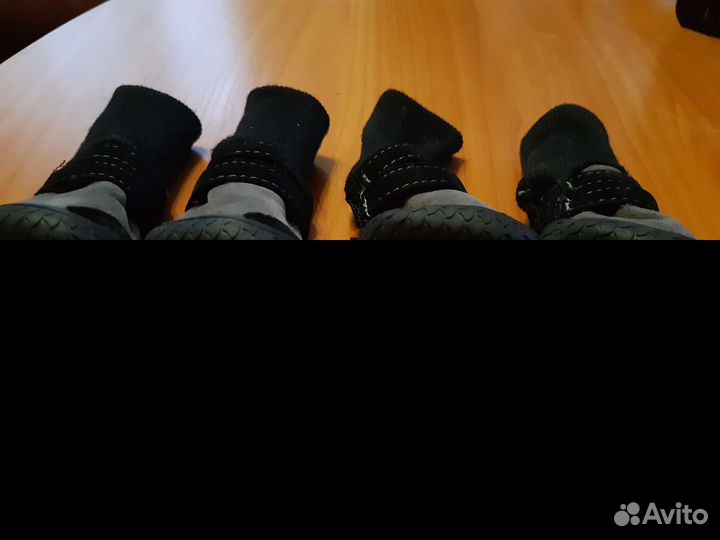 Сапожки для собак