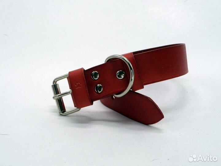 Ошейник для небольших собак с адресником